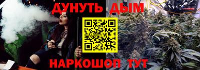 стаф Новодвинск