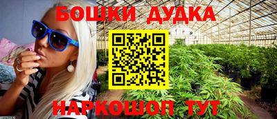 стаф Новодвинск